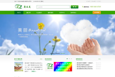 廣州康樂美健康信息咨詢服務中心網站建設項目方案